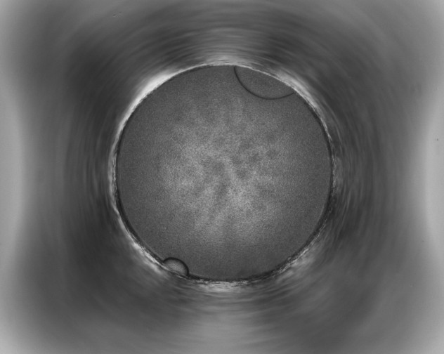 X0000087041048200704181211