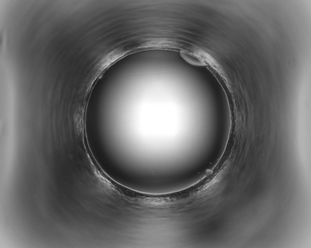 X0000087041049200704181211