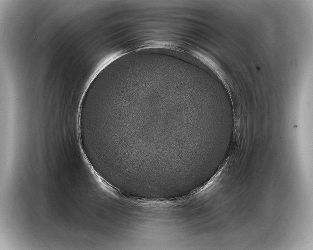 X0000087041050200704181211