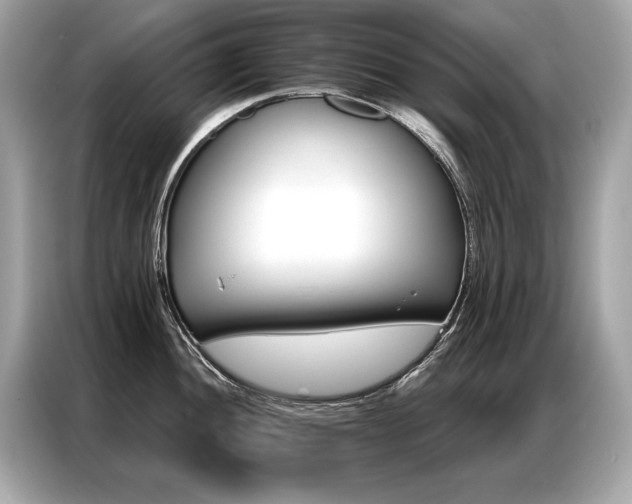 X0000087041052200704181211
