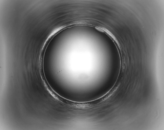 X0000087041053200704181211