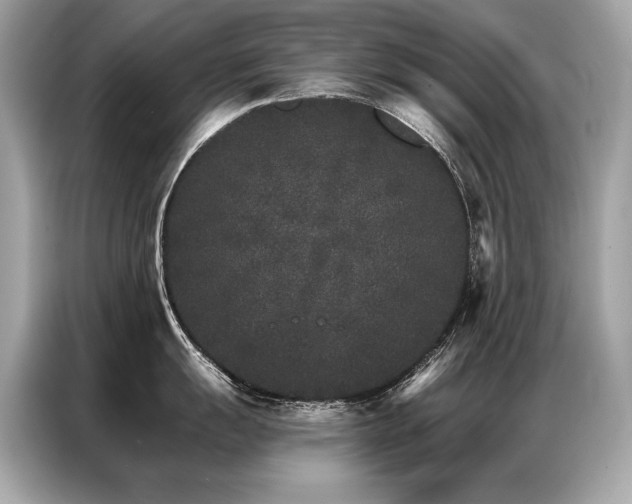 X0000087041055200704181211