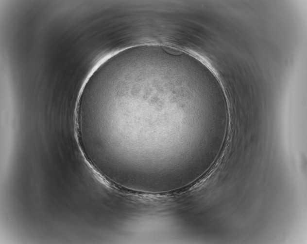 X0000087041056200704181211