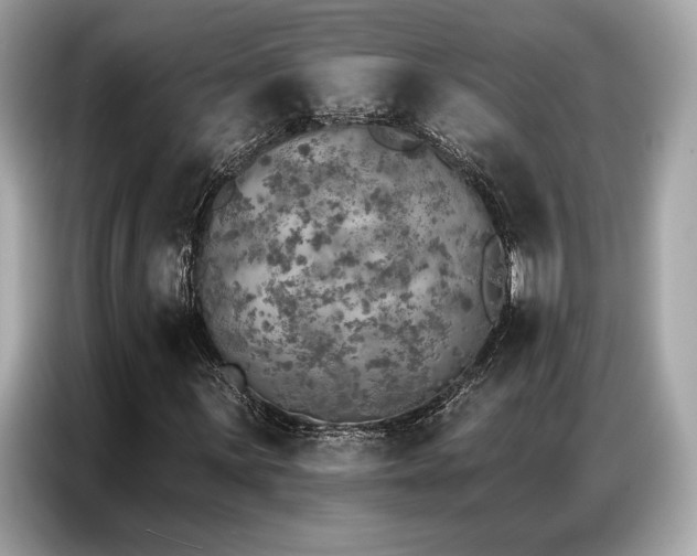 X0000087041059200704181211