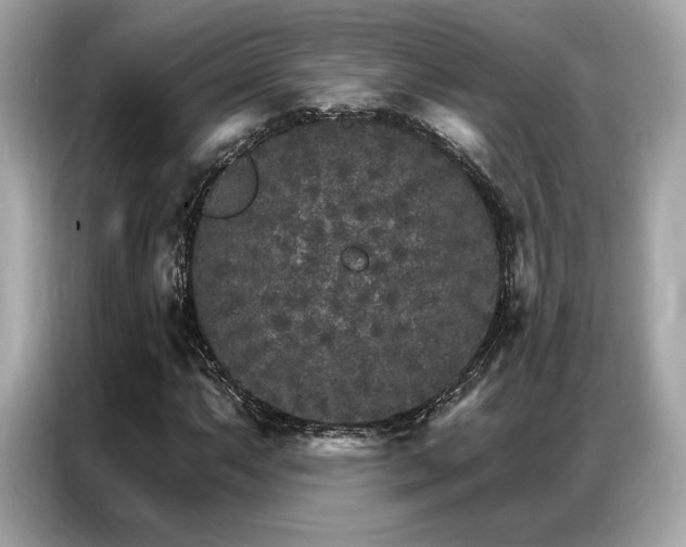 X0000087041063200704181211