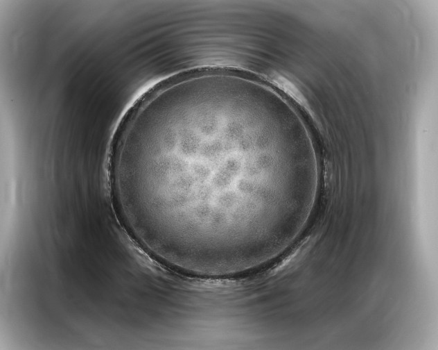 X0000087041068200704181210