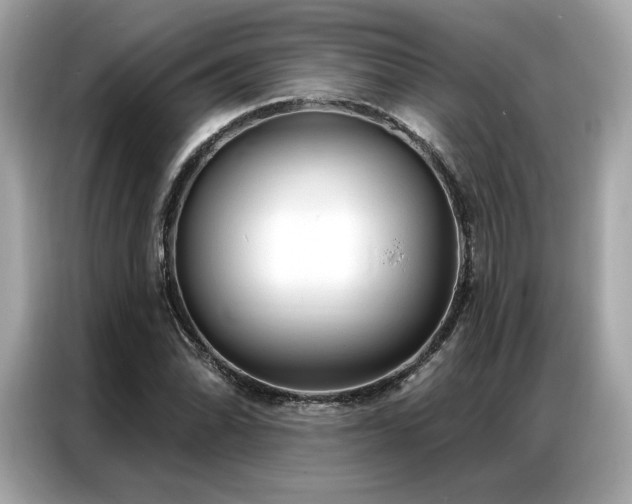 X0000087041070200704181210
