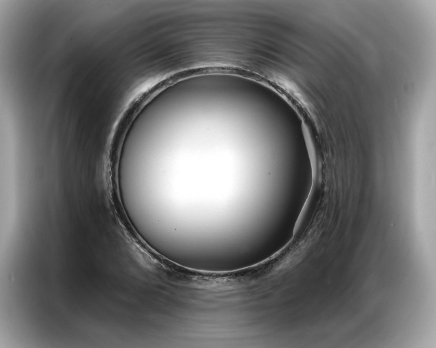 X0000087041072200704181210