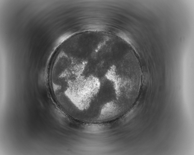 X0000087041074200704181210