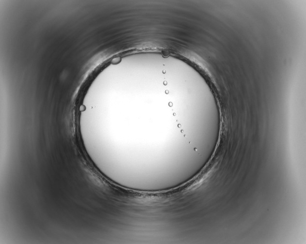 X0000087041075200704181210