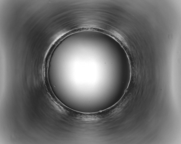 X0000087041076200704181210