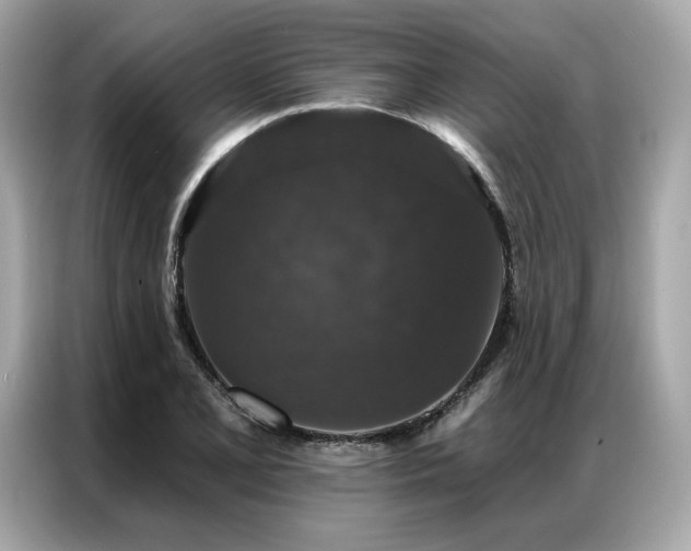 X0000087041077200704181210