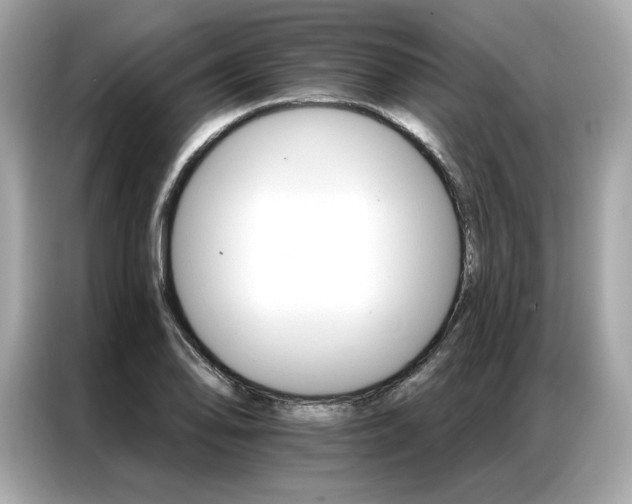 X0000087041078200704181210