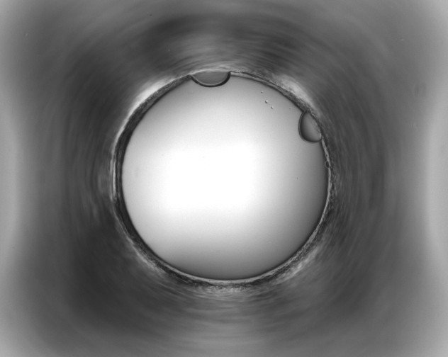 X0000087041079200704181210