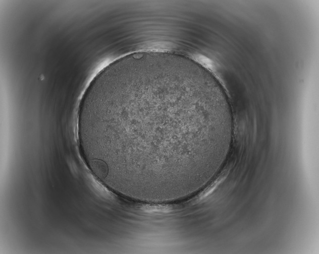 X0000087041083200704181210