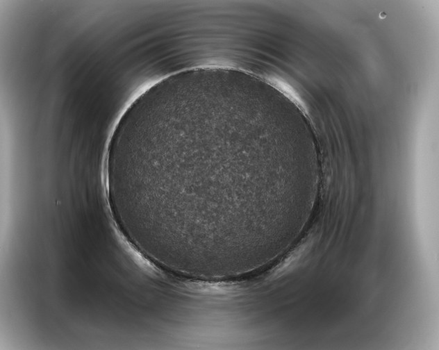 X0000087041084200704181210