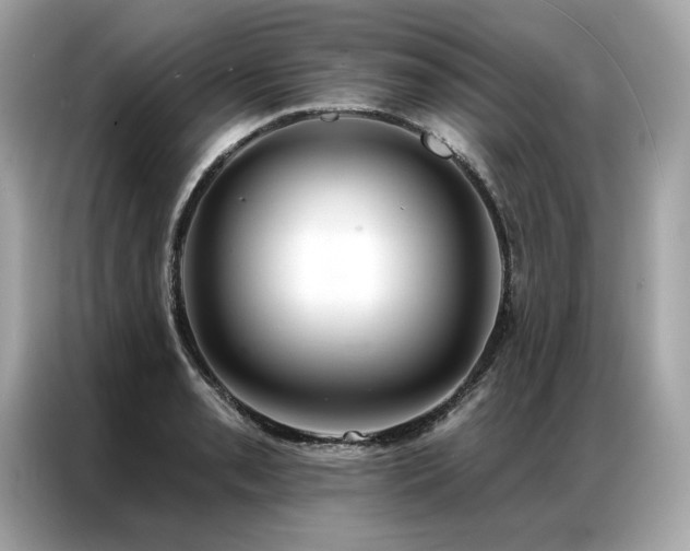 X0000087041085200704181210