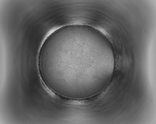 X0000087041086200704181210