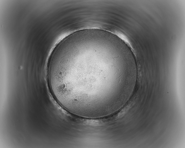 X0000087041088200704181210