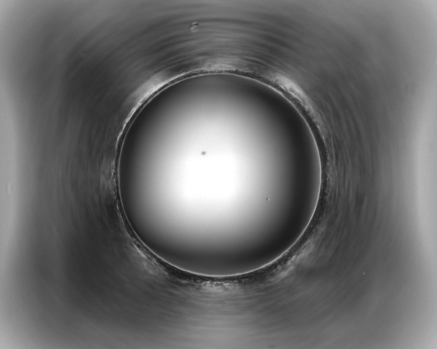 X0000087041089200704181210
