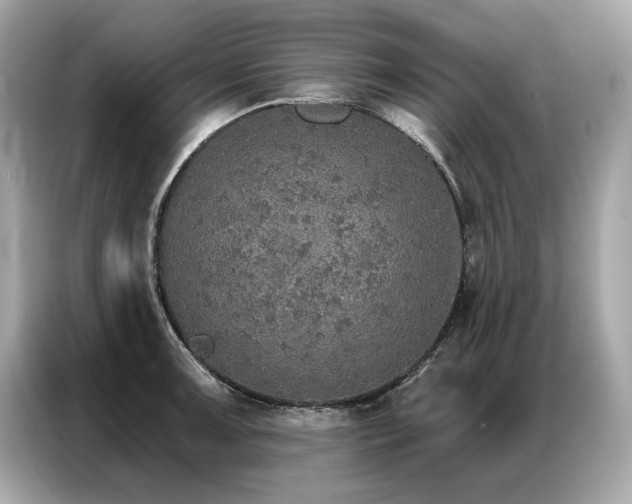 X0000087041091200704181210