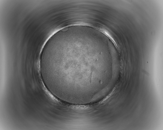 X0000087041092200704181210