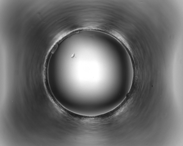 X0000087041093200704181210