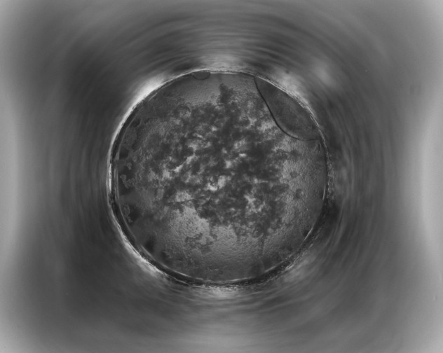 X0000087041095200704181210