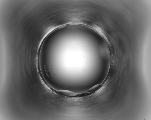 X0000087041100200704181210