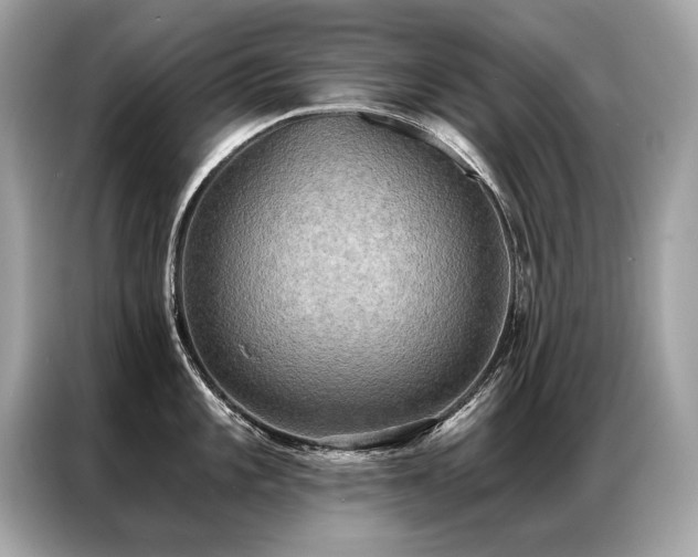 X0000087041101200704181210