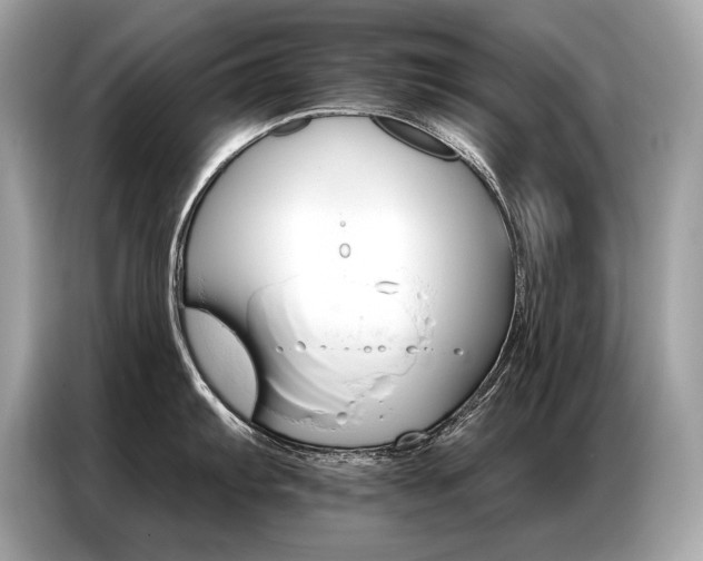 X0000087041103200704181210