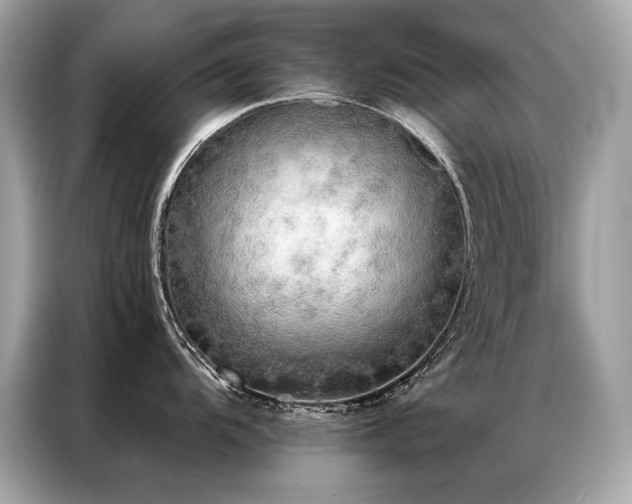 X0000087041104200704181210