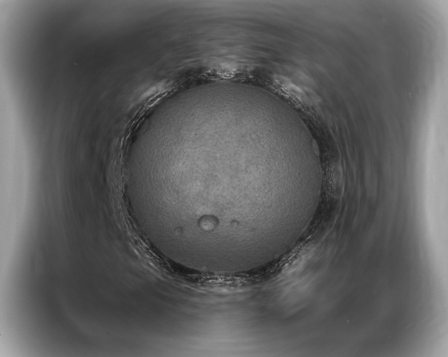 X0000087041105200704181209