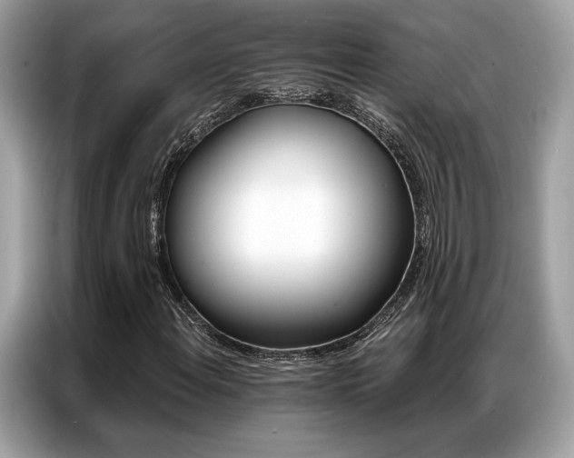 X0000087041108200704181209