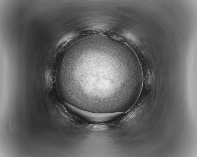 X0000087041110200704181209