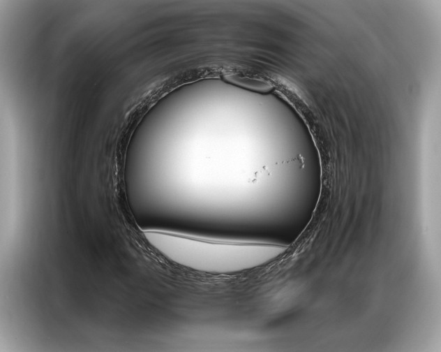 X0000087041111200704181209