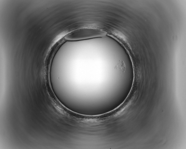 X0000087041114200704181209