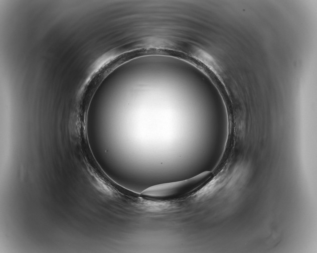 X0000087041115200704181209