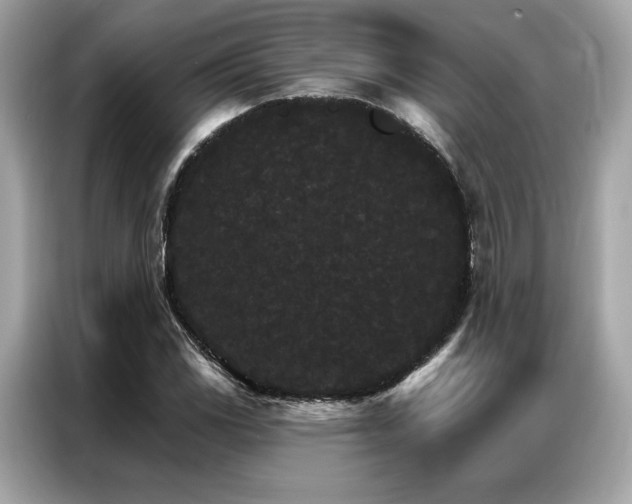 X0000087041117200704181209