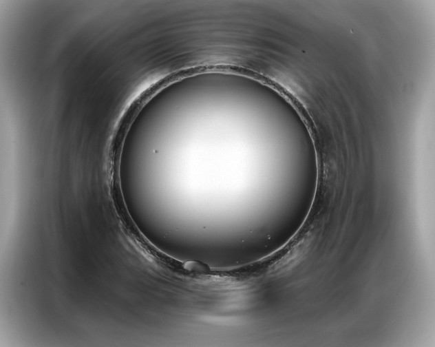 X0000087041119200704181210