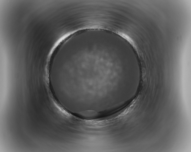 X0000087041120200704181210