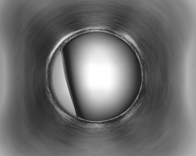 X0000087041124200704181210