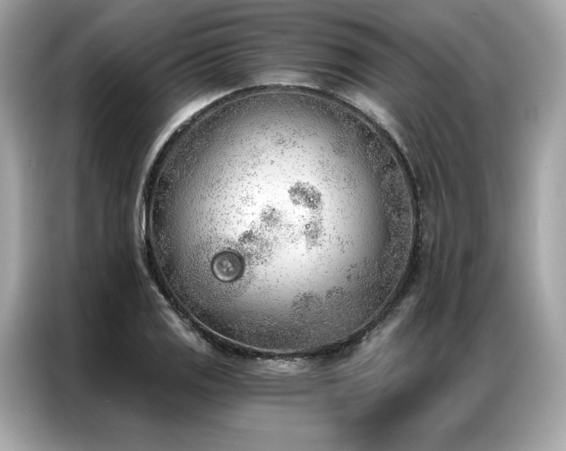 X0000087041125200704181210