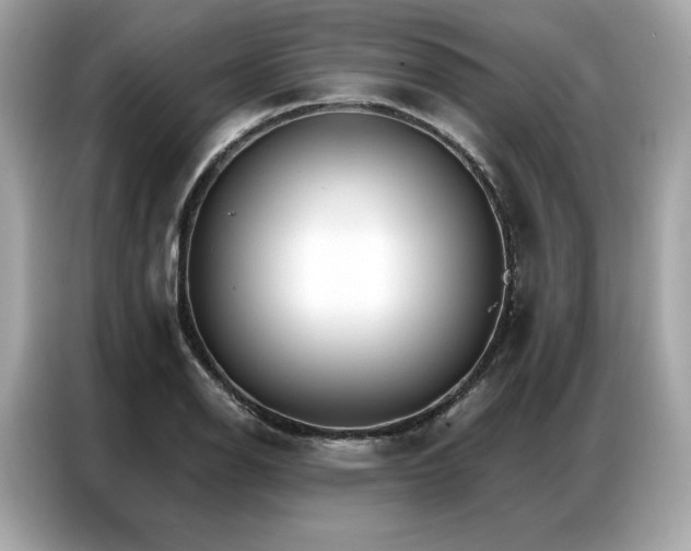 X0000087041126200704181210