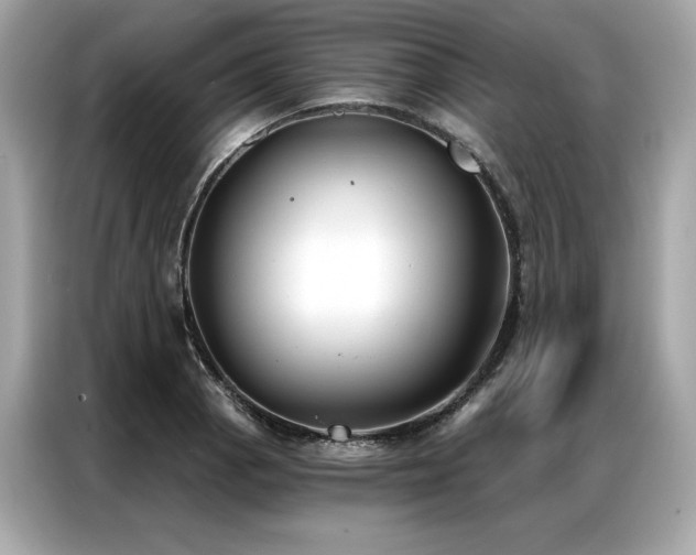 X0000087041129200704181210