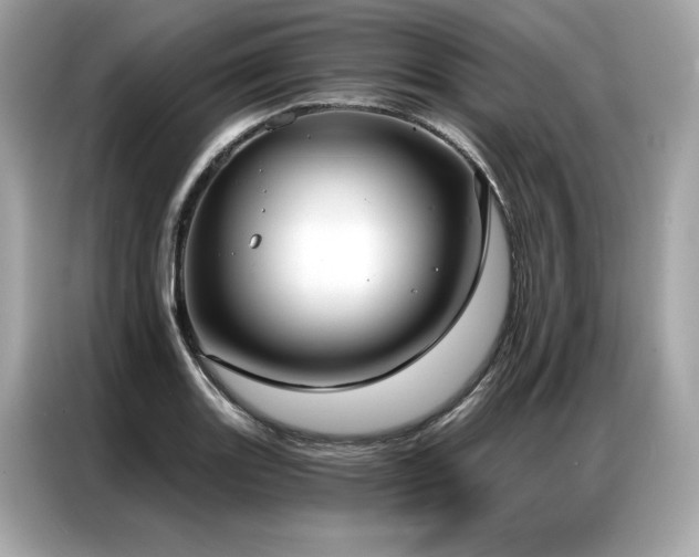 X0000087041131200704181210