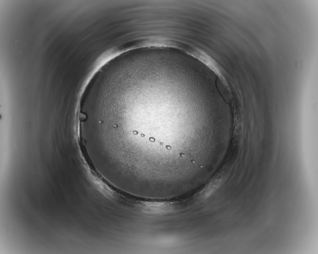 X0000087041132200704181210