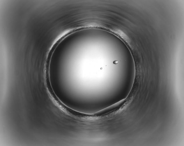 X0000087041134200704181210