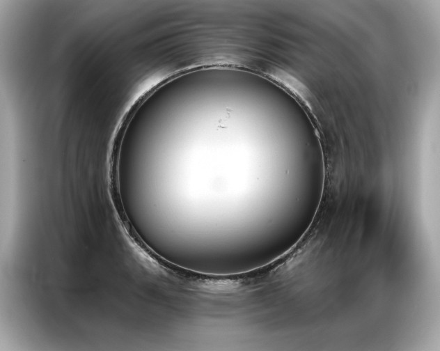 X0000087041135200704181210