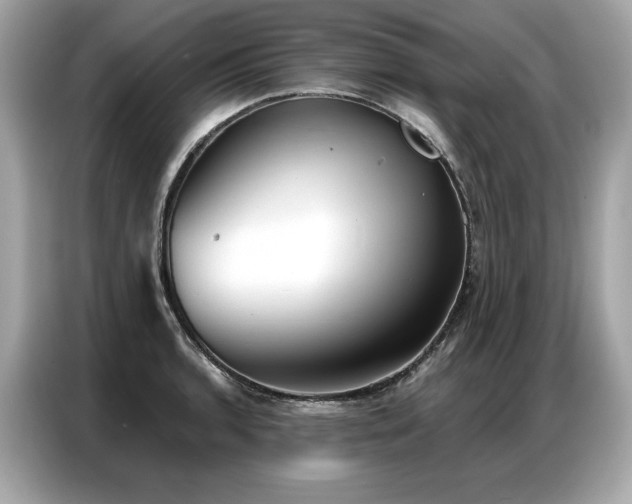 X0000087041136200704181210